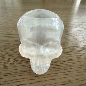 Kosta Boda Clear Glass Skull Art